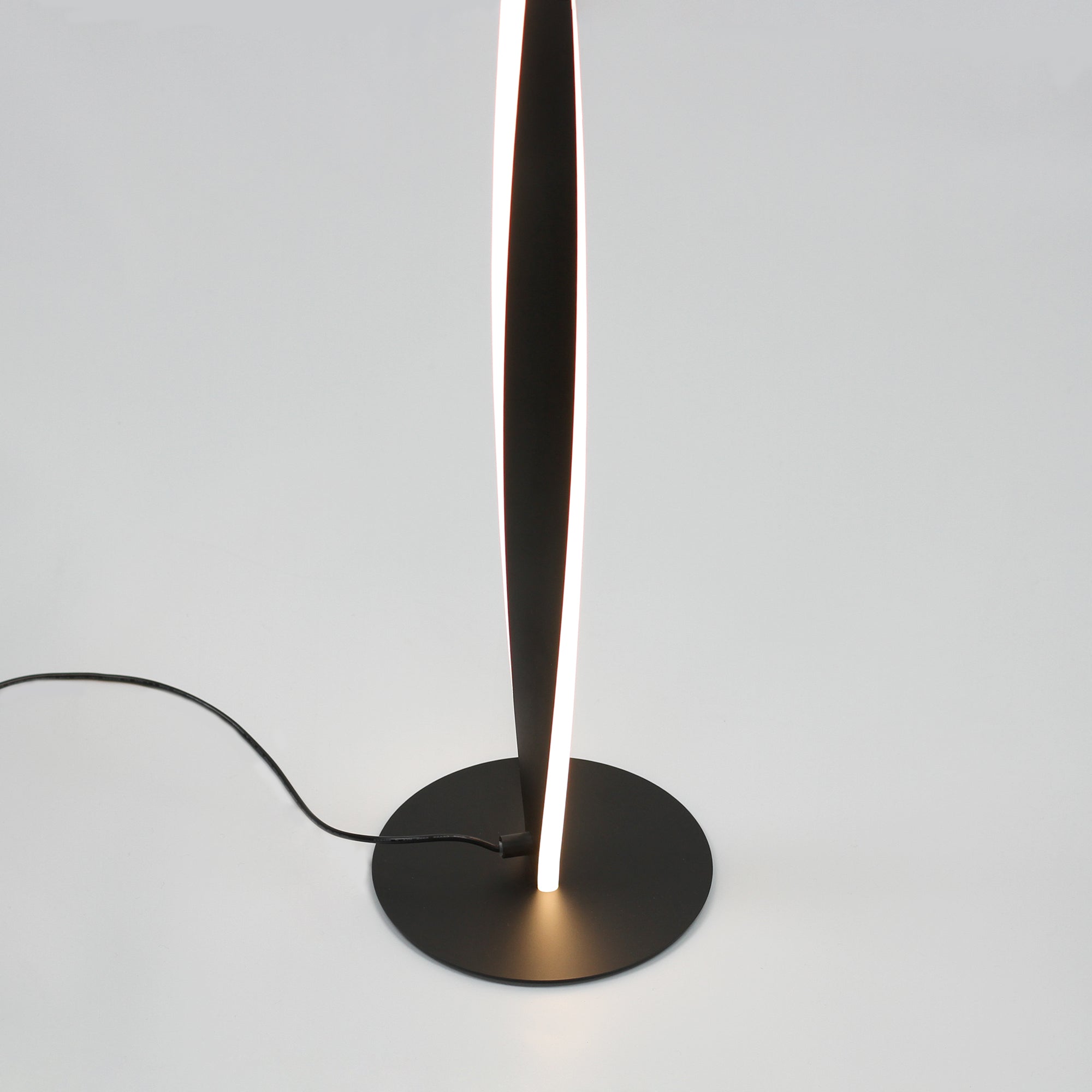Enhalus LED Floor Lamp - Black