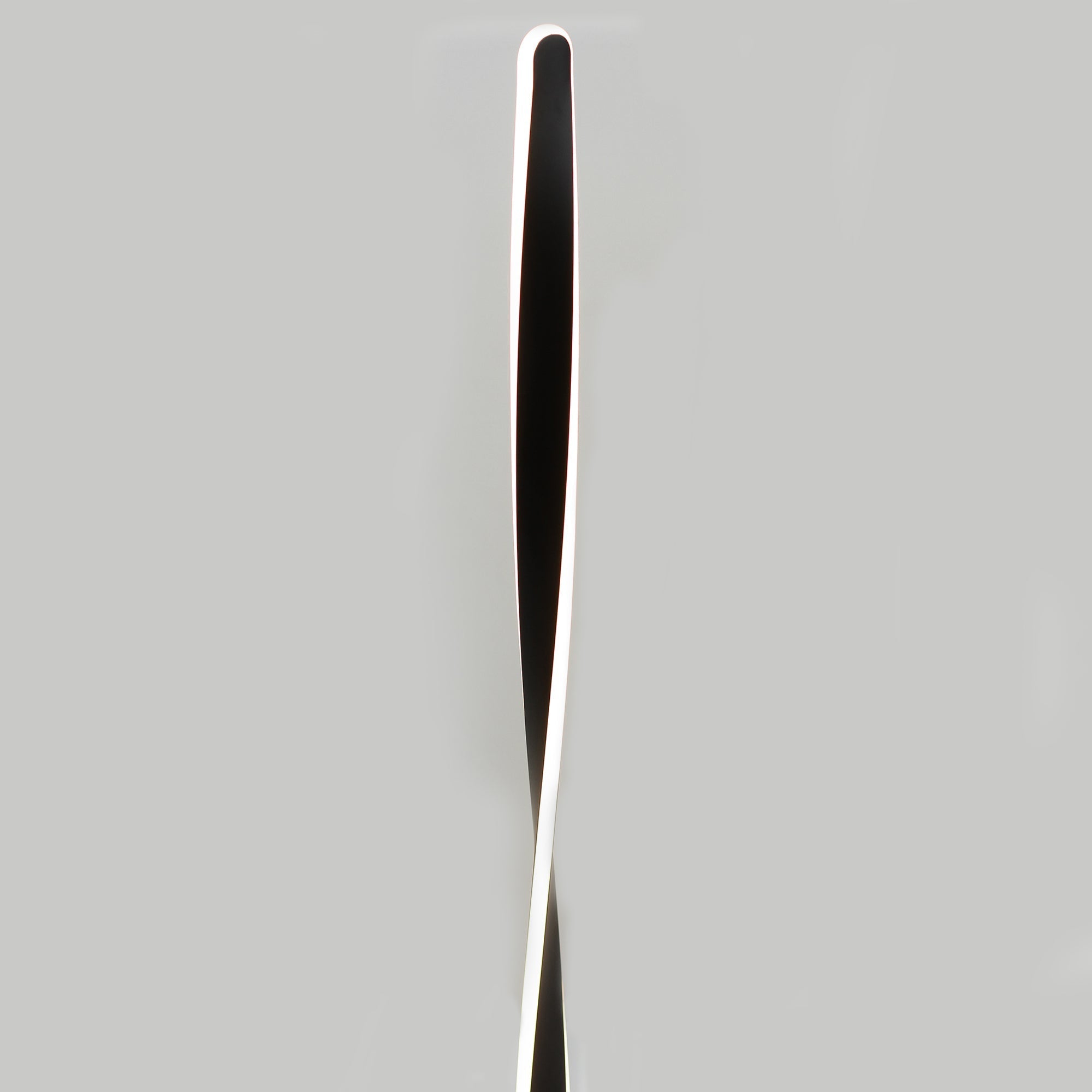 Enhalus LED Floor Lamp - Black