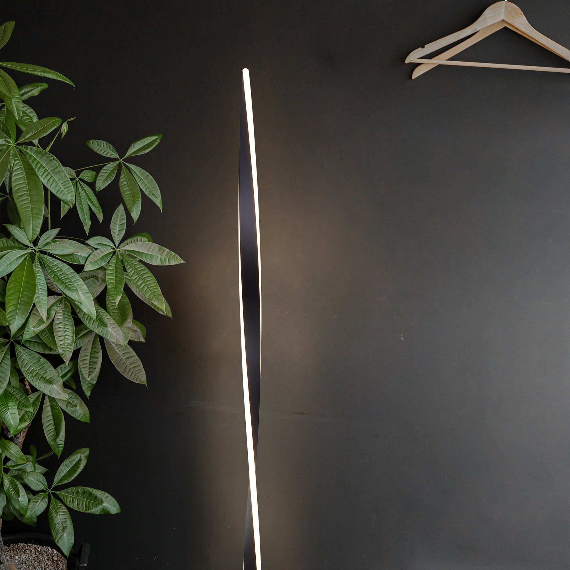 Enhalus LED Floor Lamp - Black