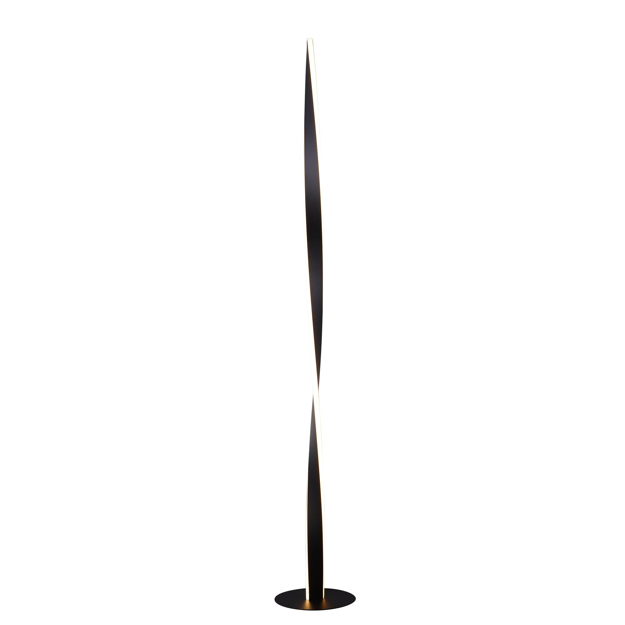 Enhalus LED Floor Lamp - Black